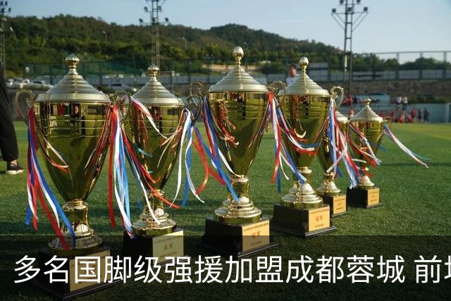 多名国脚级强援加盟成都蓉城 前场还有进人空间